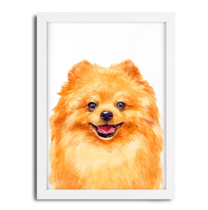 Quadro decorativo Cachorro Spitz Lulu da Pomerânia aquarela sku: 1066