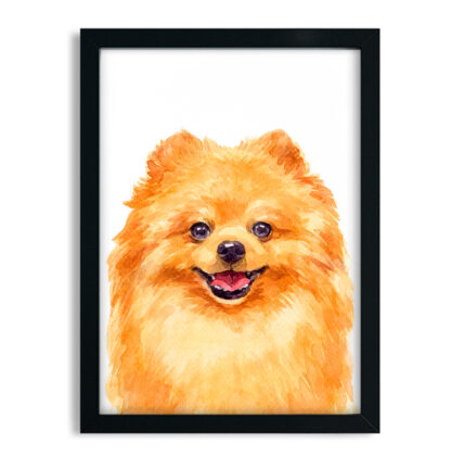 Quadro decorativo Cachorro Spitz Lulu da Pomerânia aquarela sku: 1066