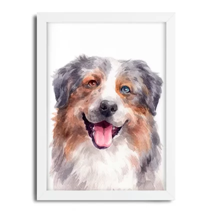 Quadro Decorativo Cachorro Pastor Australiano SKU: 1068g8