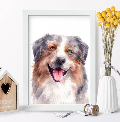 Quadro Decorativo Cachorro Pastor Australiano SKU: 1068g8