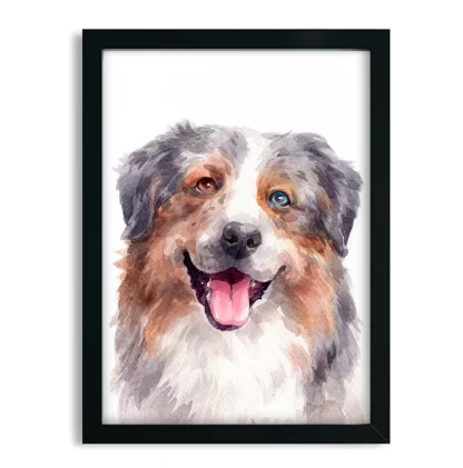 Quadro Decorativo Cachorro Pastor Australiano SKU: 1068g8