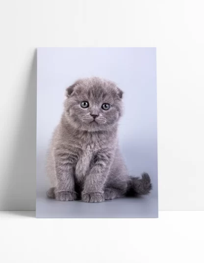 Quadro decorativo Gato Gatinho SKU: 401gt